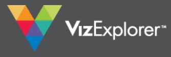 VizExplorer